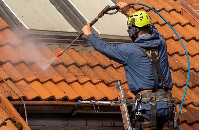 Démoussage et hydrofuge de toiture au Passage